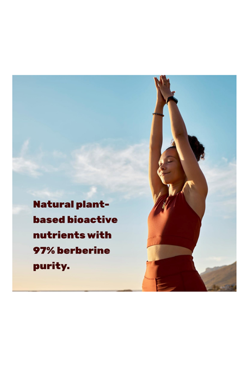 DEAL SUPPLEMENT Berberine Max  5000mg  240 Veggie Capsul – 97% Pure Berberine HCL – 25:1 Root Extract .ABD MENŞEİ.54.