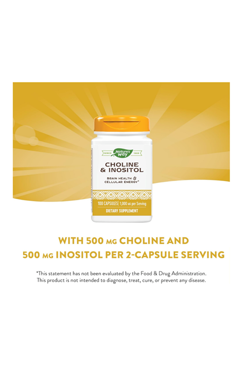 Nature's Way Choline & Inositol - 1,000 mg - Supports Brain Health & Cellular Energy* - Choline Bitartrate - Gluten Free - 100 Capsul Usa Version 3947