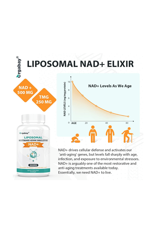 Orgabay Liposomal NAD+ Supplement 500 mg, High Absorption, Boost NAD+ with TMG 250 mg, Than Nicotinamide Riboside, Support Cellular Energy, Healthy Aging  60 Softgels.4047