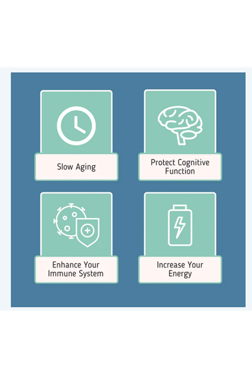 PERPETUA.LIFE  Anti-Aging  NAD+ Complex AEON with Nicotinamide DUO™, Fisetin, Quercetin, Resveratrol, TMG, Spermidine, Astragalus, L-Theanine 60 Capsul.ABD Menşei.77.