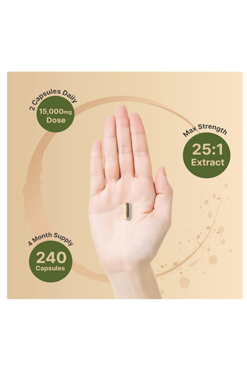 NatureBell Turkey Tail Mushroom 240 Capsul.Usa Menşei. 3733