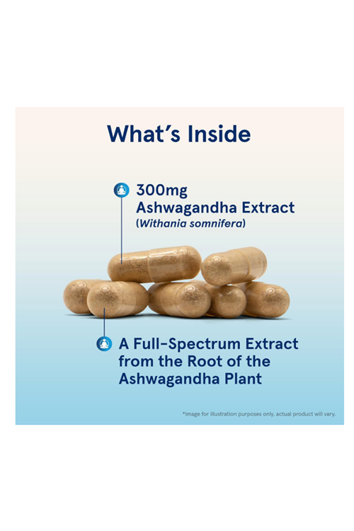 Jarrow Formulas, Ashwaganda, 300 mg, 120 Veggie Capsules 3843