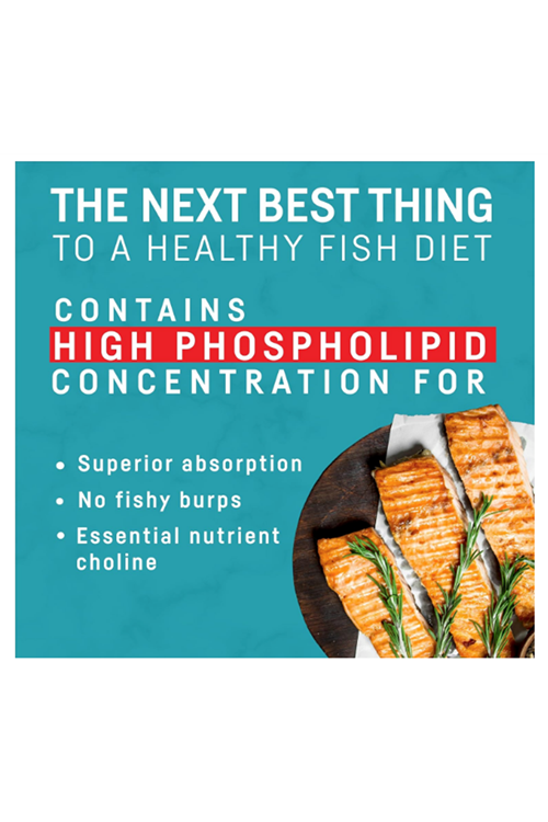 Kori Krill Oil Omega 3  Antarctic Krill Oil with Superior Absorption vs Fish Oil, Krill Oil 1200mg Softgels, 30 Softgels, EPA & DHA.ABDE MENŞEİ.46.