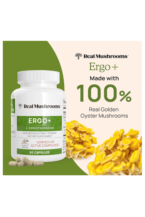 Real Mushrooms L-Ergothioneine, Golden Oyster Mushroom Extract 60ct Longevity, Immune Support Brain Blend with Beta Glucan - Organic, Vegan.Made ın Usa.57.
