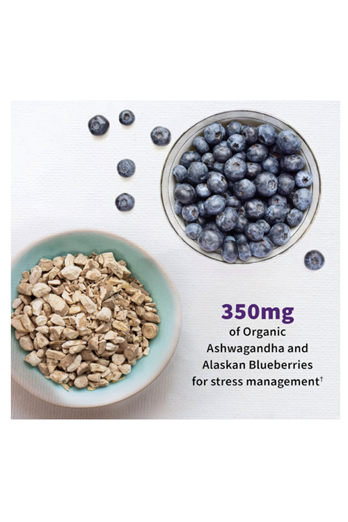 Garden of Life Probiotics Mood+ 60 Veggie Caps.Made ın Usa.