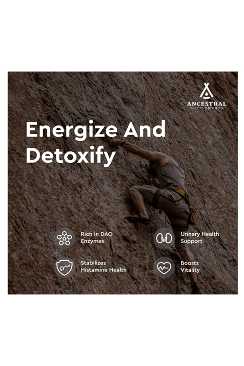 Ancestral Supplements Grass Fed Beef Kidney, 3000mg, DAO Enzyme for Urinary and Histamine Health, Selenium, B12, Non GMO, 180 Capsul.Made ın Usa.4059