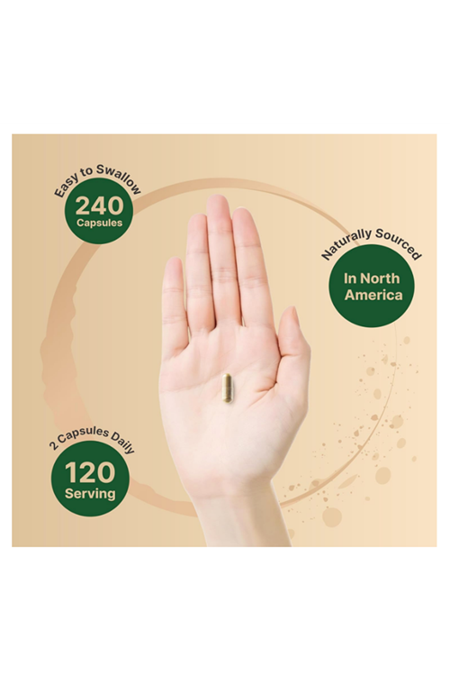 NatureBell St Johns Wort  240 Capsul, 15:1 Herbal Extract, North American Harvest, Rich in Hypericin – Positive Mood Support