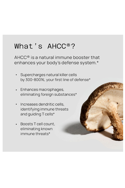 Quality of Life AHCC Kinoko Rx Premium AHCC Immune Support 300mg 60 Softgel.Made ın Usa