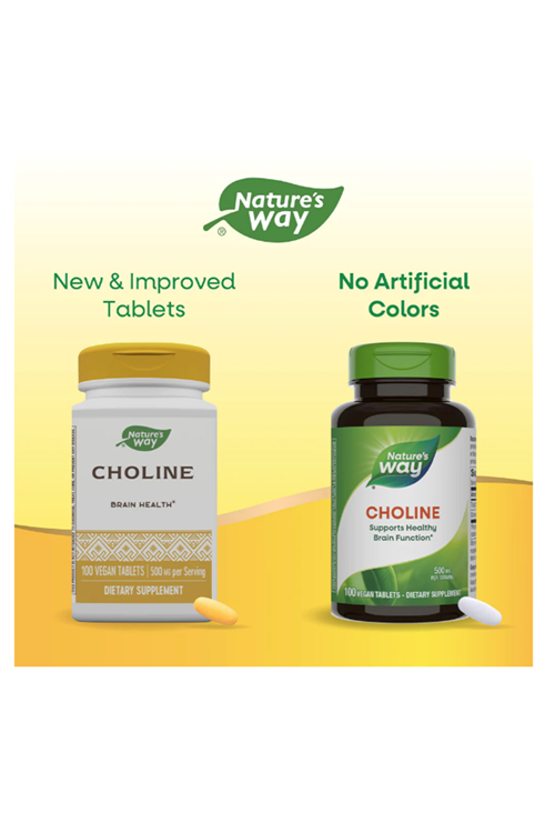 Nature's Way Choline 500mg (Kolin Nörotransmitter Brain Health) 100 Tablet. Usa Version 37.
