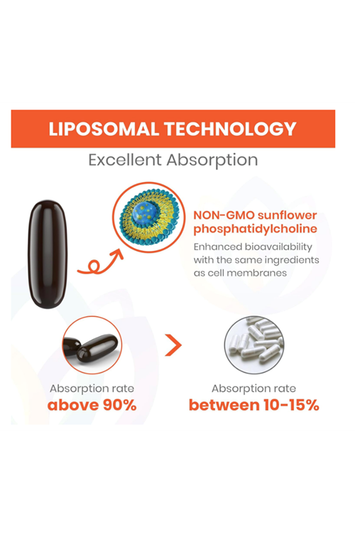 Sharoaid Liposomal Fisetin Delivery,98% Pure Fisetin,Polyphenol Antioxidant for Healthy Aging,Non-GMO - 1500mg  60 Softgels.Abd Menşei.57