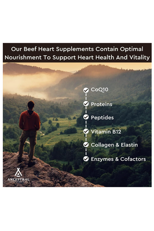 Ancestral Supplements Grass Fed Beef Heart  3300mg, CoQ10 and Mitochondrial Health, Non-GMO, 180 Capsules