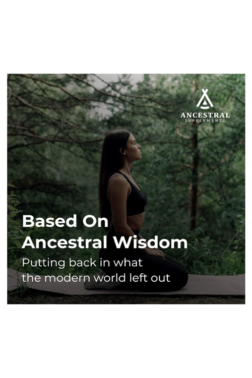 Ancestral Supplements Grass Fed Beef Lung, 500mg, Lung and Liver, Respiratory, Vascular, and Circulatory Health, Non-GMO, 180 Capsules