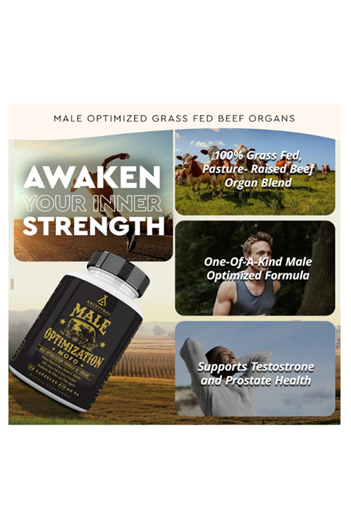 Ancestral Supplements Male Optimization Mofo, Support for Energy Levels and Overall Men's Health and Wellness, Non-GMO, No Fillers, 180 Capsules