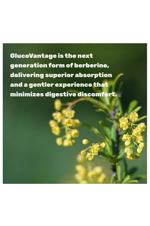 DEAL SUPLAMENT Dihydroberberine 100mg 120 Veg Capsul – 5X More Bioavailab Berberine HCL – GlucoVantage Formul.