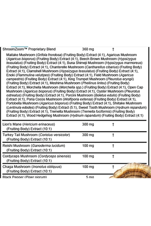 Clean Nutraceuticals Lions Mane 20in1 60 Capsul,Mushroom with Turkey Tail Reishi Cordyceps Chaga Maitake Meshima Poria Cocos Shiitake Oyster Porcini Enoki 