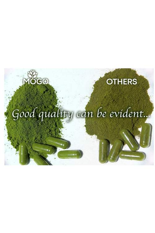 MOGO Moringa 180 Capsul Boost Energy, Immune, Gut, Joint Support  Pure Organic Moringa  Made in USA.