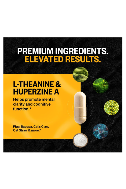 Onnit Alpha Brain Memory & Focus 90 Capsul.Usa Menşei.107.