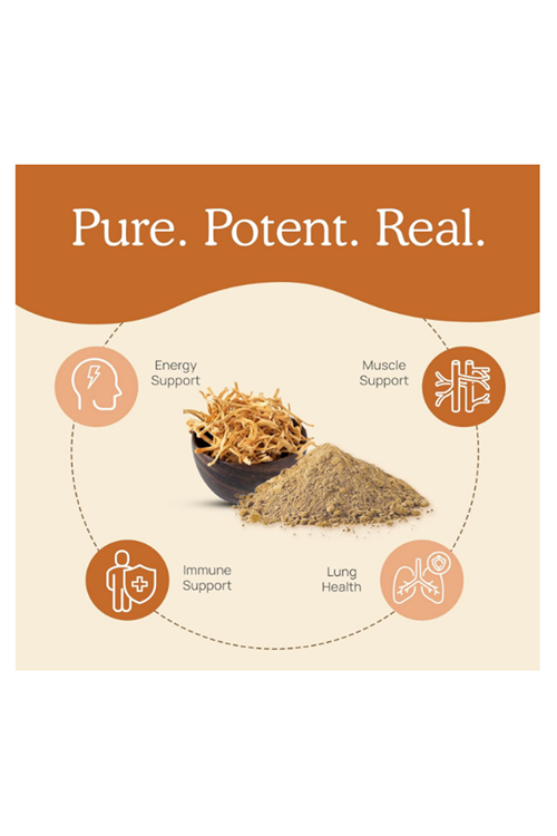 Real Mushrooms  Cordyceps M Mushroom Rich in Beta Glucans  Energy and Performance  Vegan 120 Capsul.