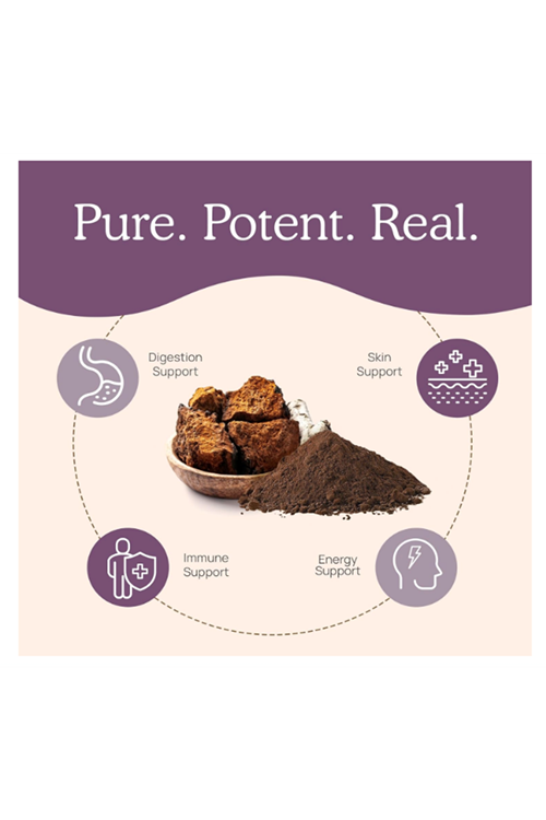 Real Mushrooms Chaga Mushroom – Organic Chaga Extract with Extract for Wellness  Energy Support Vegan, Non-GMO, 120 Capsules.