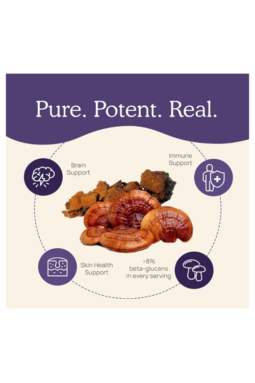 Real Mushrooms Zinc and Vitamin D2 120 Capsules  Organic Chaga and Reishi Mushroom Extracts Vegan Non-GMO Gluten-Free .