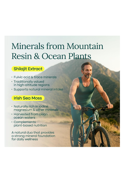 Etta Vita Urolithin-A Complex 90 Capsul Shilajit, Organic Sea Moss Tong kat Ali, Natural Energy, and Focus for Men  Women (Made in USA .