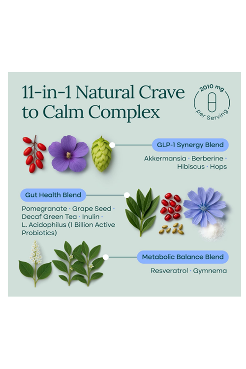 Etta Vita GLP-1 90 Veg Capsul  Weight Loss  Appetite Control for Men and Women with Akkermansia, Berberine, Inulin, EGCG, Resveratrol, Hops, Polyphenols - Supports Digestion, Hunger, Cravings, Gut Health.
