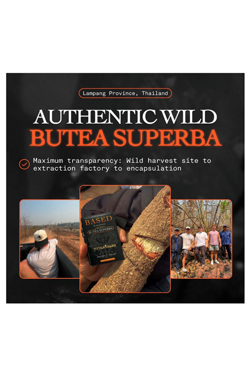 BASED Supplements ENHANCED BUTEA SUPERBA 30 Capsul.Abd Menşei.