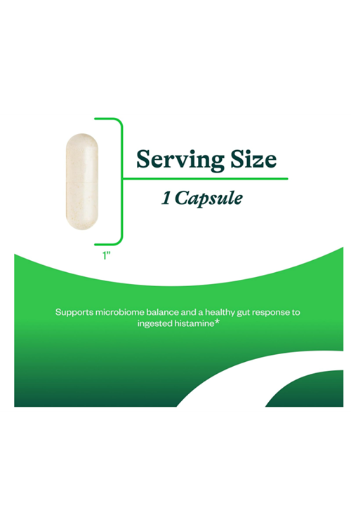 Seeking Health ProBiota HistaminX  Digestion for Gut Health Histamine Lactobacillus Plantarum Lactobacillus Salivarius Immune Skin Health  60 Capsul.