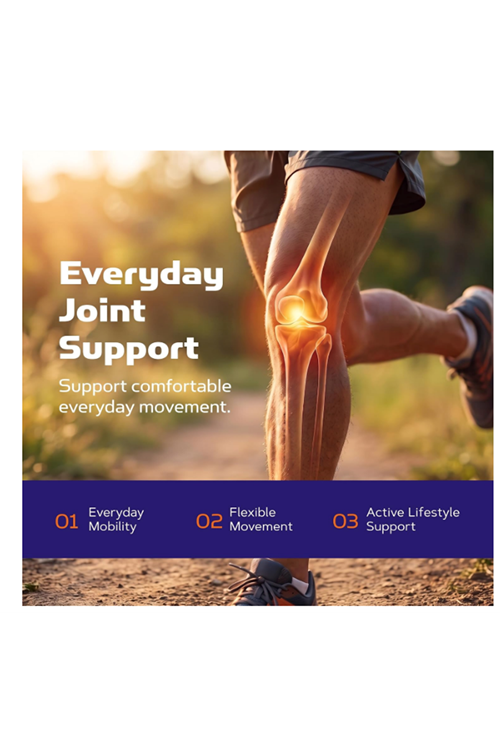 GNC TriFlex Joint Support, Glucosamine and MSM, 120 Count (40 Servings).