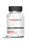 SwissChems Enclomiphene 750 mg/60 caps (12.5 mg/capsule).Orj Usa Firma Ürünü.107.