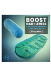 HPN NAD+ Booster (NAD3), Anti Aging Cell Booster, NRF2 Activator, Nicotinamide Riboside Alternative, NAD Supplement Natural Energy, Longevity, and Cellular Health (60 Veggie Capsul.Usa Amazon Best 3757