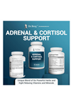 Dr. Berg  Adrenal Cortisol Support-Mood,Focus,Relaxation 60 Capsul.Usa Menşei.60.