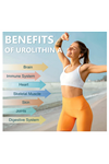 Totaria Healt Urolithin A  1000mg with NAD+,CoQ10,Resveratrol,PQQ for Men Women 120 Softgels.Made ın Usa.4054