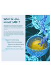 Solodate lab  Liposomal NAD -TMG ,NAD+  Anti-Aging,Energy,Focus 120 Capsul.Abd Menşei.62.