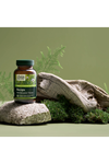 Gaia Herbs Organic Bacopa (Bacopa monnieri) 60 Vegan Liquid Phyto-Capsul. Usa.3839