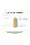 DEAL SUPPLEMENT Irish Sea Moss 7000mg  240 Veggie Capsul – 14 Superfood Complex – Shilajit, Black Seed Oil, Ginger.44.
