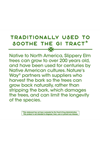 Nature's Way, Slippery Elm Bark, 1,600 mg, 100 Vegan Capsules.Abd Menşei.36.