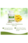 Real Mushrooms L-Ergothioneine, Golden Oyster Mushroom Extract 60ct Longevity, Immune Support Brain Blend with Beta Glucan - Organic, Vegan.Made ın Usa.62.