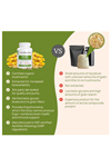 Real Mushrooms L-Ergothioneine, Golden Oyster Mushroom Extract 60ct Longevity, Immune Support Brain Blend with Beta Glucan - Organic, Vegan.Made ın Usa.62.
