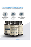 VINATURA Caralluma Fimbriata, EGCG 45% Extract 1250mg + Fucoxanthin *USA Made & Tested* for Immune Support, Energy and Mental Focus - 60 Capsules.52.