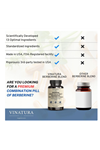 VINATURA Berberine HCL & Ceylon Cinnamon - Red Yeast Rice & CoQ10 1300mg  Healthy Levels with Green Tea Extract, Resveratrol, Magnesium, Glycinate, Chromium Picolinate 60 Capsul.53.