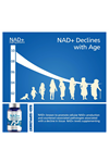 VIVALIFER NAD+Resveratrol+Tmg   1500mg - 120 Capsules. Abd Menşei.46.