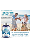 VIVALIFER NAD+Resveratrol+Tmg   1500mg - 120 Capsules. Abd Menşei.46.