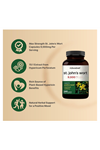 NatureBell St Johns Wort  240 Capsul, 15:1 Herbal Extract, North American Harvest, Rich in Hypericin – Positive Mood Support.