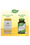 Nature's Way Choline 500mg (Kolin Nörotransmitter Brain Health) 100 Tablet. Usa Version 37.