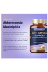 Totaria Healt GLP-1 Supplement with Akkermansia Probiotic  120 Capsul.Abd Menşei.37.