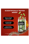 Resurrected Health Liposomal NMNH  High Purity NAD for Anti Aging, Energy, Focus - Pure NMNH Organic 60 Capsules - 300mg.Abd Menşei