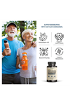 VINATURA Dihydroberberine Ceylon Cinnamon, 500mg - (Patented GlucoVantage Super Berberine), Maybe Berberine 5X More absorbable - 30 Capsules.48.