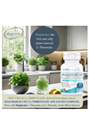 Kappa Nutrition Magbrain™ Magnesium L-Threonate Plant-Based, 420mg Elemental Magnesium (3 Capsules) from 2,253mg, 90 Vegan Capsules.