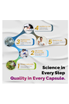 VEGATOT Liver Health Complex Formula 150 Capsul High Potency with TUDCA, Milk Thistle, Beet Root, Artichoke Leaf, Panax Ginseng, Astragalus, Tumeric -Clean  Detox Formula.